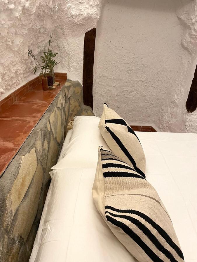 Aparthotel Cuevas El Atochal Origenes à Gor Extérieur photo